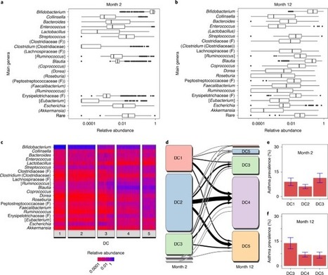 Maturation of the gut microbiome during the first year of life contributes to the protective farm effect on childhood asthma | Allergy (and clinical immunology) | Scoop.it