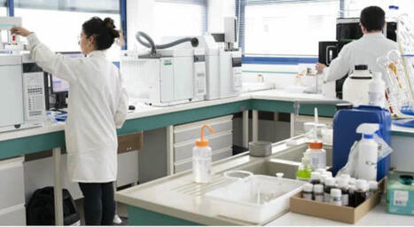 Innovation nutraceutique: Berkem et polyphénols | Innovation Agro-activités et Bio-industries | Scoop.it