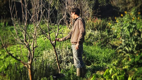 Pyr&eacute;n&eacute;es-Orientales : premi&egrave;res rencontres de l&rsquo;agro&eacute;cologie bassin m&eacute;diterran&eacute;en ce jeudi &agrave; Elne - L'independant | Gestion Durable des Ressources | Scoop.it