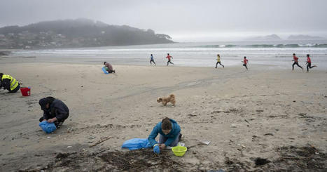 Retiran m&aacute;s de 3.130 kilos de pellets y 7.700 kilos de otros pl&aacute;sticos en playas gallegas / le 18.01.2024 | Pollution accidentelle des eaux (+ d&eacute;chets plastiques) | Scoop.it