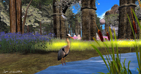 Serenity & Tranquility, Mundo Nuevo - Second Life | Second Life Destinations | Scoop.it
