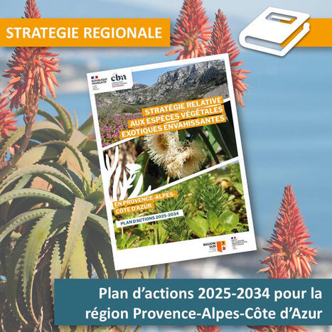 Strat&eacute;gie relative aux esp&egrave;ces v&eacute;g&eacute;tales exotiques envahissantes en Provence-Alpes-C&ocirc;te d'Azur - Plan d&rsquo;actions r&eacute;gional 2025-2034 | Regards crois&eacute;s sur la transition &eacute;cologique | Scoop.it
