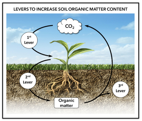 Review in Environ Rev • Samson Lab 2023 • Carbon sequestration in Canada’s croplands: A review of multiple disciplines influencing the science policy interface | Reviews | Scoop.it