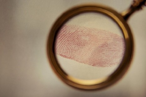 Identifying ‘food fingerprints’ to combat crime: ‘Fraud is a growing concern’ | OLIVE NEWS | Scoop.it