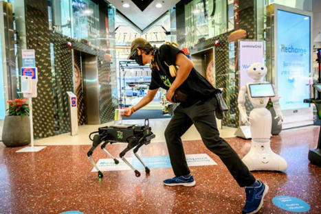 Robot dog hounds Thai shoppers | Military use of IT | Scoop.it