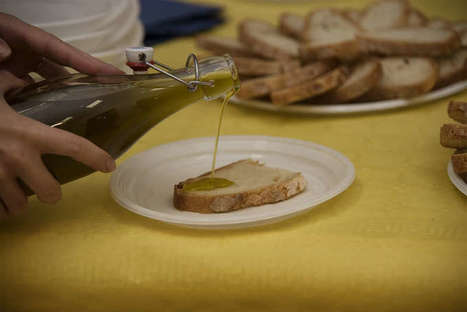 L'olio d'oliva vale il 10,5% di tutto l'export italiano negli Usa | OLIVE NEWS | Scoop.it