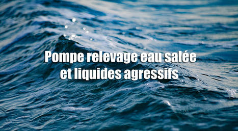 Pompe relevage eau salée et liquides agressifs  | Actualités, Communiqués Presse, Nouveautés, Infos... | Scoop.it