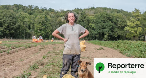 « C’est un choix politique » : un potager municipal fournit la cantine en légumes bio | Attitude BIO | Scoop.it