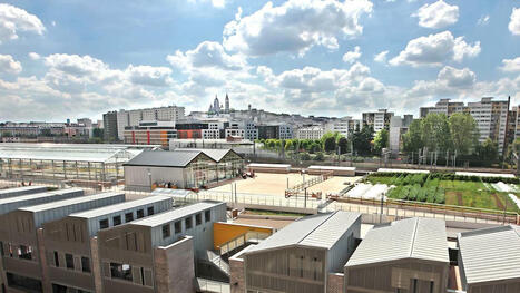 Le rooftop de Plantation, l'oasis urbaine et perchée de 7 000 m2 | Paysage - Agriculture | Scoop.it