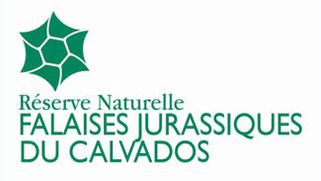 Cr&eacute;ation de la r&eacute;serve naturelle nationale des falaises jurassiques du Calvados | Veille territoriale AURH | Scoop.it