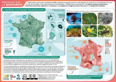 Carte des pressions 2023 sur les espèces exotiques envahissantes - Naturefrance | Biodiversité | Scoop.it