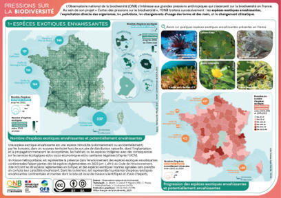 Carte des pressions 2023 sur les espèces exotiques envahissantes - Naturefrance | Biodiversité : les chiffres-clés | Scoop.it