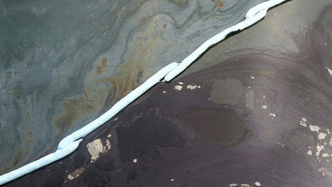 Californie : après une marée noire l’an dernier, les gestionnaires d’un oléoduc plaident coupable - Le Parisien / le 27.08.2022 | Pollution accidentelle des eaux (+ déchets plastiques) | Scoop.it