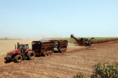 BRAZIL: Weather to drive sugar production at mills | Revue de presse - Club DEMETER | Scoop.it