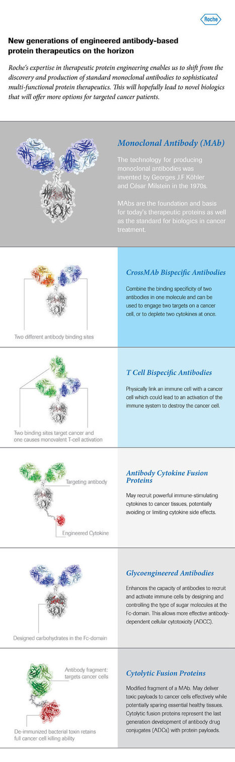 Casting a glance on a potentially new, wide-ranging antibody technology landscape | Immunology and Biotherapies | Scoop.it