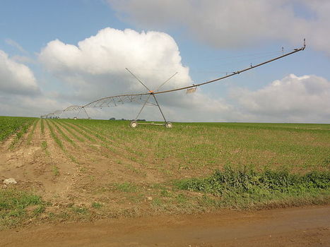 Un nouvel outil d'aide &agrave; la d&eacute;cision pour une irrigation optimale  - Agriculture Nouvelle | Pour innover en agriculture | Scoop.it