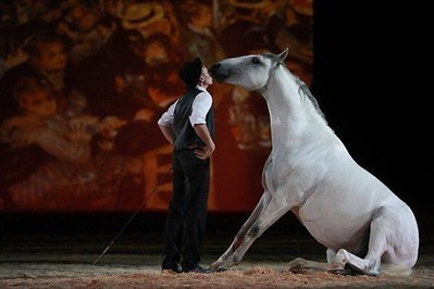 Des chevaux et des étoiles au haras avant Noël , Hennebont | Salon du Cheval | Scoop.it