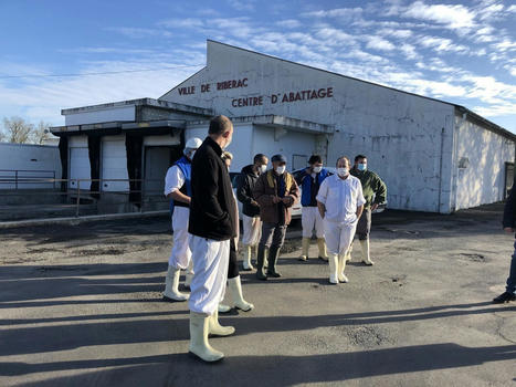 Dordogne. L'abattoir de Ribérac officiellement liquidé | Réussir le Périgord | La Gazette des abattoirs | Scoop.it
