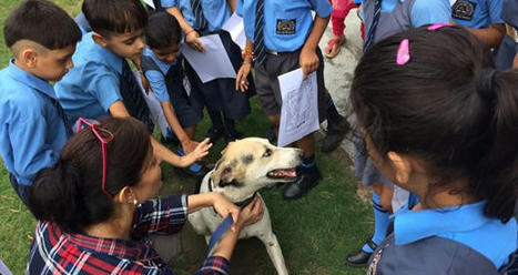 Classroom Kindness Giveaway: Teach Empathy with Animals | Empathy Movement Magazine | Scoop.it