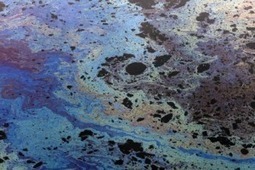 First 'microsubmarines' designed to help clean up oil spills | Genetic Engineering in the Press by GEG | Scoop.it