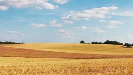 Agriculture : un nouveau label pour favoriser l’innovation - Environnement Magazine | Chimie verte et agroécologie | Scoop.it
