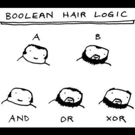 Boolean Hair Logic | fun for geeks | Scoop.it