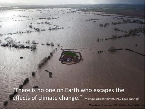 Het klimaat redden in 10 stappen - Greenpeace Nederland | Anders en beter | Scoop.it
