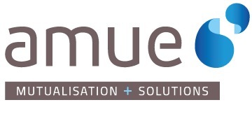 La collection Numérique + Accessibilité numérique universitaire - Amue | Actus TICE Universitaires | Scoop.it