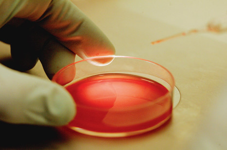 Pierre Le Coz&thinsp;: &laquo;&nbsp;&Agrave; quoi sert le CCNE s&rsquo;il suit l&rsquo;air du temps&thinsp;?&nbsp;&raquo; | Bio&eacute;thique & Procr&eacute;ation | Scoop.it