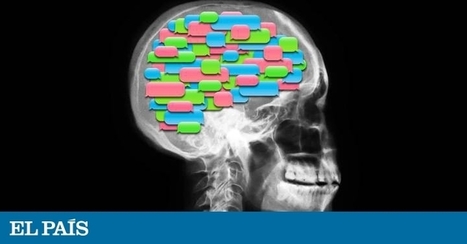 Últimas noticias del cerebro | Ideas | Educación, TIC y ecología | Scoop.it