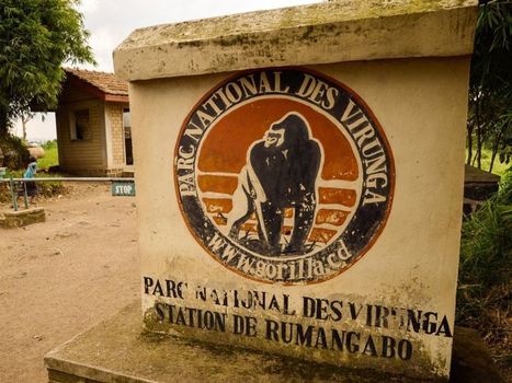 6 membres du parc national des Virunga tués par un groupe armé en RDC - Sciencesetavenir.fr | Biodiversité | Scoop.it