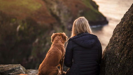 Comment vivre en harmonie avec les animaux? | Slate.fr | La presse et la classe de fle | Scoop.it