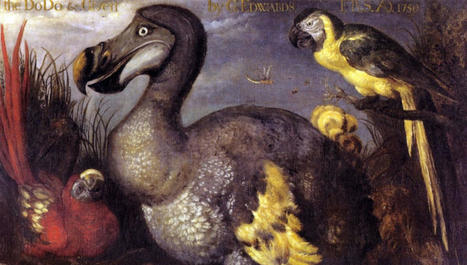 Désextinction des espèces : le réveil du dodo | Biodiversité | Scoop.it