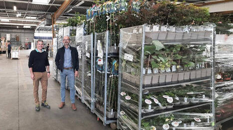 En Anjou, Hortival Diffusion et Cerdys veulent donner naissance à un poids lourd de l’horticulture française - Ouest France [Abonnés] | Agriculture en Pays de la Loire | Scoop.it