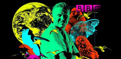 Every episode of David Attenborough’s life series, ranked | Creative teaching and learning | Scoop.it
