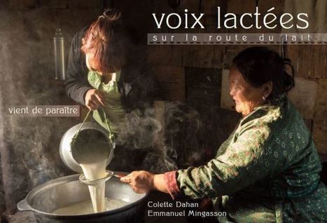 Vient de paraître « Voix lactées », deux ans de voyage sur la route du lait en Asie | Lait de Normandie... et d'ailleurs | Scoop.it