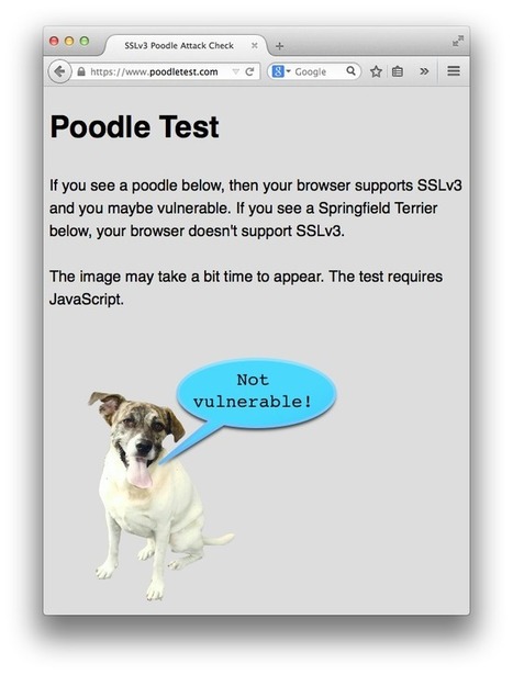 SSLv3 Poodle Attack Check | eSafety - Ψηφιακή Ασφάλεια | Scoop.it