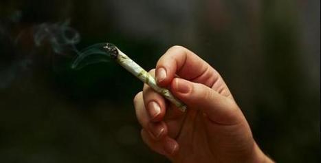'War on drugs' shake-up: Manchester campaigners say UK must learn from US cannabis legalisation | Beckley News : Cannabis - Marijuana | Scoop.it