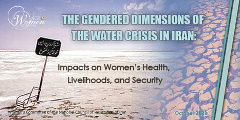 The Gendered Dimensions of the Water Crisis in Iran: Impacts on Women’s Health, Livelihoods, and Security | Women and Gender Studies | Scoop.it