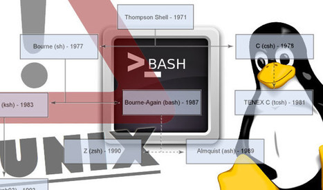 Major Bash Vulnerability Affects Linux, UNIX, Mac OS X | ICT Security-S&eacute;curit&eacute; PC et Internet | Scoop.it