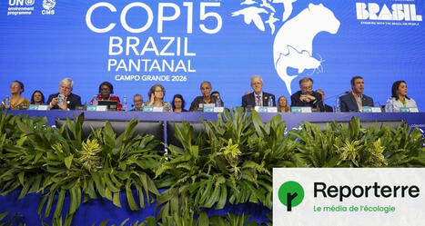 40 nouvelles esp&egrave;ces migratrices vont &ecirc;tre prot&eacute;g&eacute;es | Vers la transition des territoires ! | Scoop.it