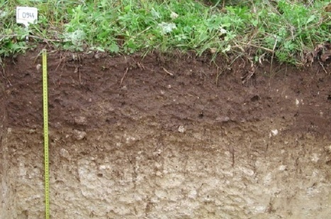 [Science] L’agriculture peut aider à stocker davantage de CO2 afin d'atteindre la neutralité carbone | Vers la transition des territoires ! | Scoop.it