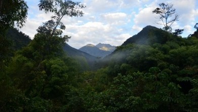 Peru: Global warming may spell doom for the world’s most bio-diverse ecosystem | RAINFOREST EXPLORER | Scoop.it