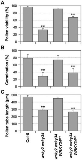 Phosphorylation of a WRKY Transcription Factor by MAPKs Is Required for Pollen Development and Function in Arabidopsis | SEED-DREAM Lab info | Scoop.it