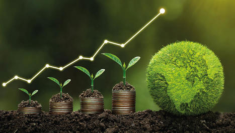 Guidance seeks to give fund finance a clearer sustainability path | Sustainable Procurement News | Scoop.it