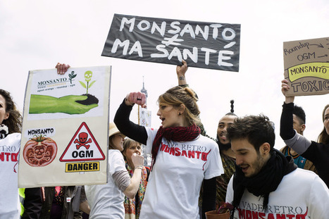 Manifestations en France et dans le monde contre Monsanto | EntomoNews | Scoop.it