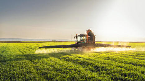 Pesticides et lobbies : la faim brandie pour &eacute;viter la fin ? | Toxique, soyons vigilant ! | Scoop.it