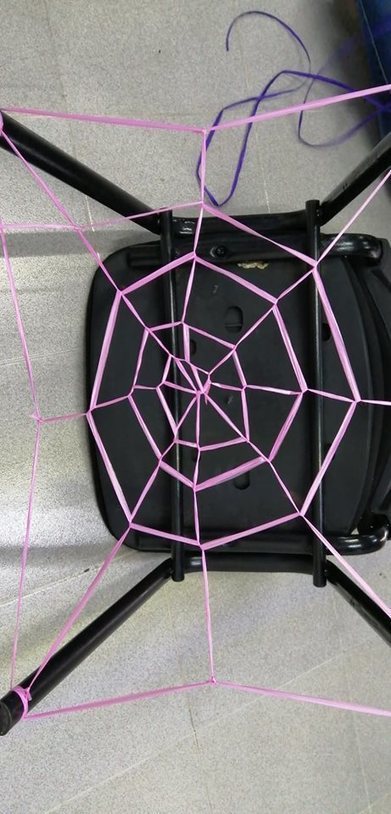 Telaraña 4.0 | Asómate | Bichos en Clase | Scoop.it
