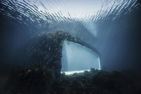 Dîner sous l'eau: Plongez dans le premier restaurant sous-marin d'Europe | Strange days indeed... | Scoop.it