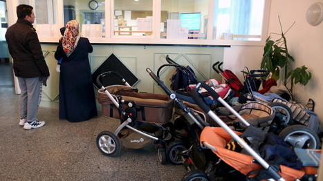 360 000 euros d’allocation pour un réfugié, ses quatre femmes et 23 enfants : tollé en Allemagne | ACTUALITÉ | Scoop.it